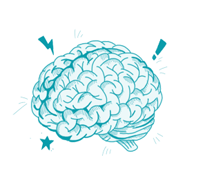 https://headhackers.com/wp-content/uploads/2026/06/gehirn-1.png